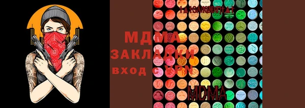 индика Нея