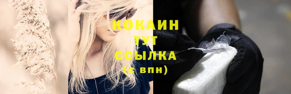 индика Нея
