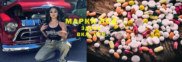 индика Нея