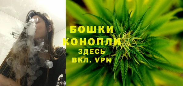 индика Нея