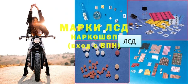 индика Нея