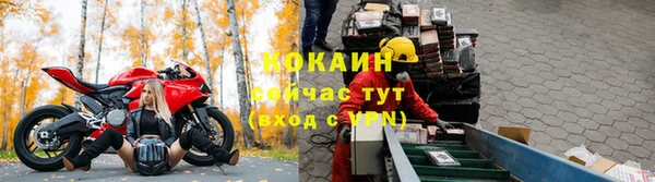 индика Нея