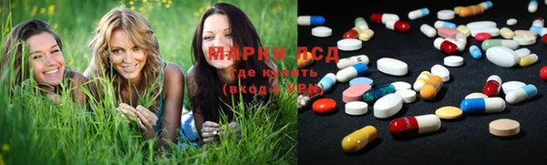 индика Нея
