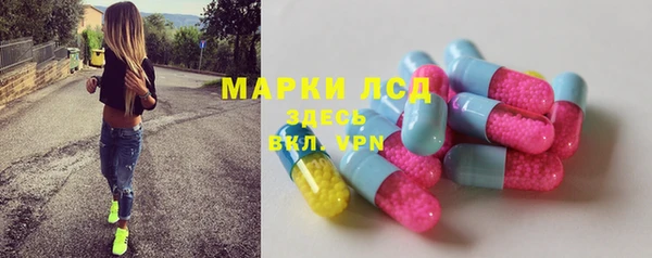 индика Нея